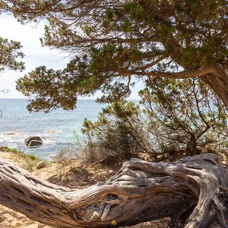 Holiday home Beatrice Villasimius Localita Porto Sa Ruxi *